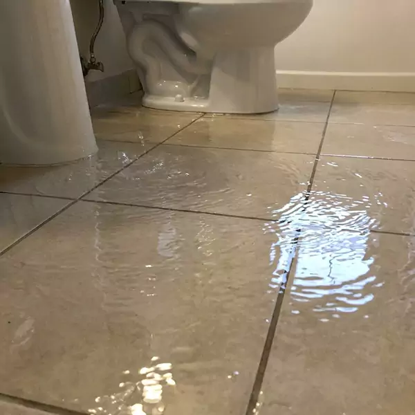 Expert Flooded Bathroom Restoration in Boca Raton, FL 