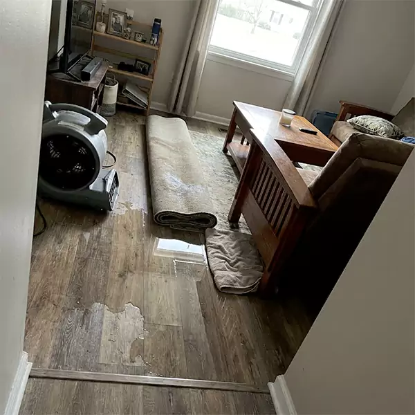 Water Restoration in Boca Raton, FL