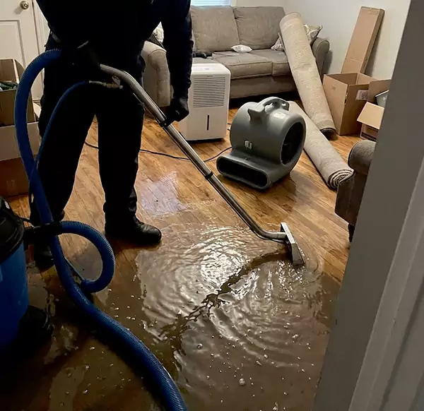 Why Homeowners & Businesses Choose Boca Raton Water Cleanup for Flood Cleanup in Boca Raton, FL?