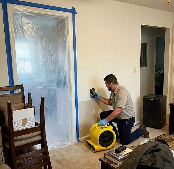 Why Homeowners & Businesses Choose Boca Raton Water Cleanup for Water Remediation in Boca Raton, FL?