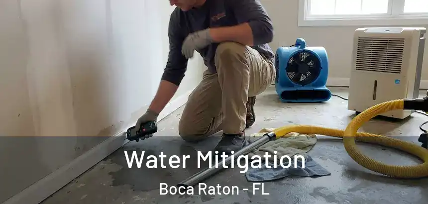 Water Mitigation Boca Raton - FL