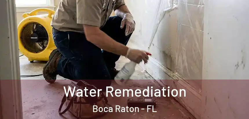 Water Remediation Boca Raton - FL